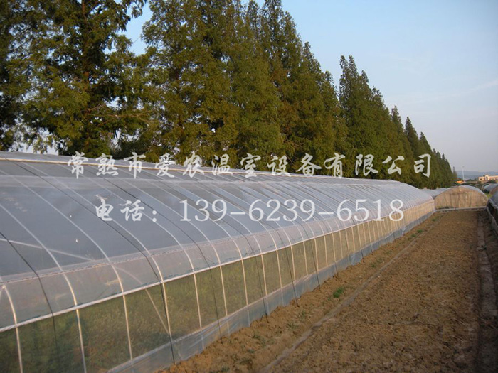 澳華會(huì)所裝修設(shè)計(jì)案例